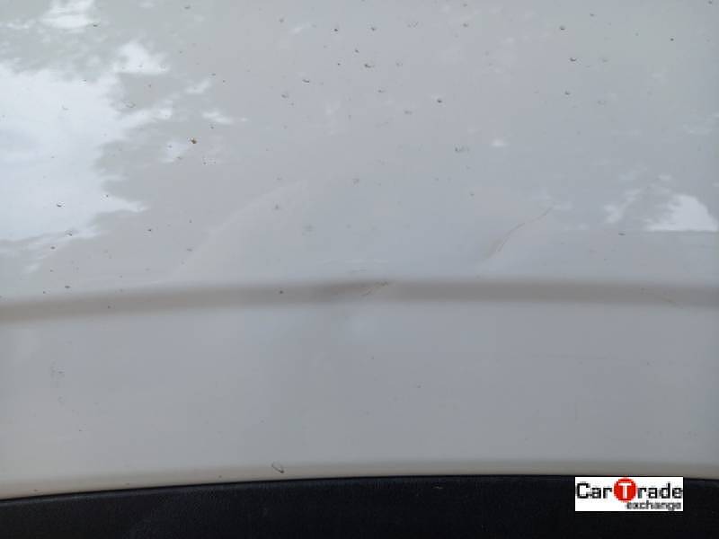 Minor Dents on the left fender