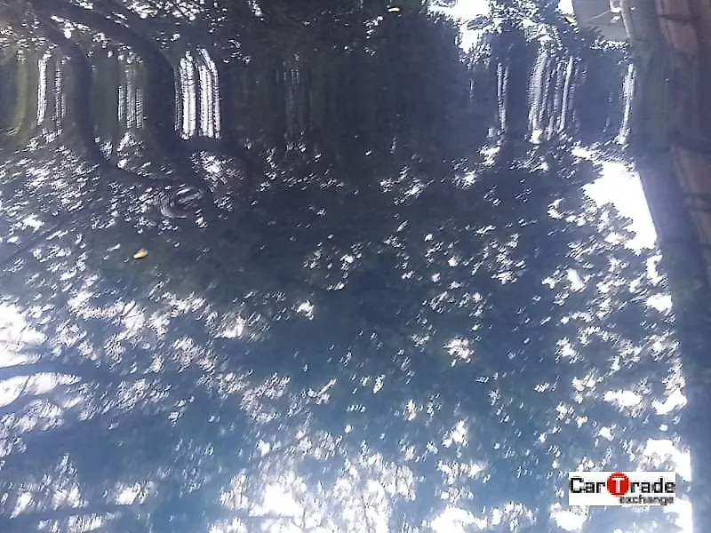 Minor Dents on the bonnethood