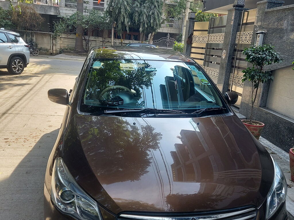 Used Maruti Suzuki Ciaz [2014-2017] ZDi SHVS in Delhi