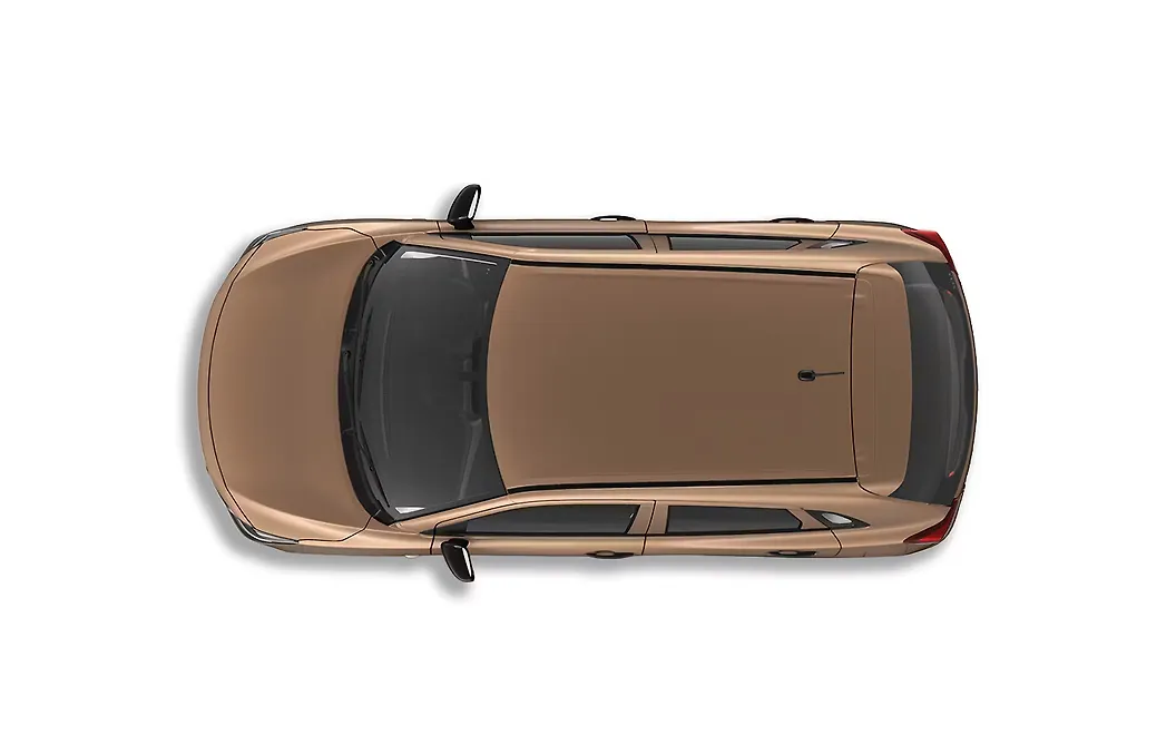 Maruti Suzuki Baleno Roof