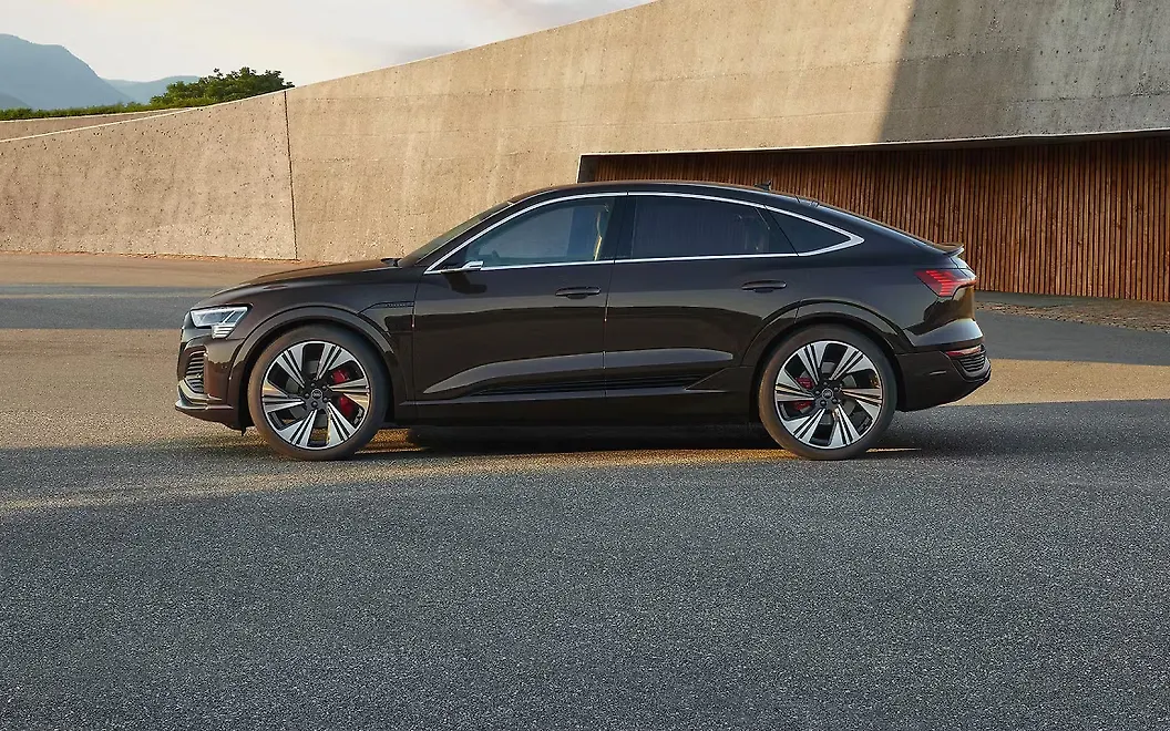 Audi Q8 Sportback e-tron Left View