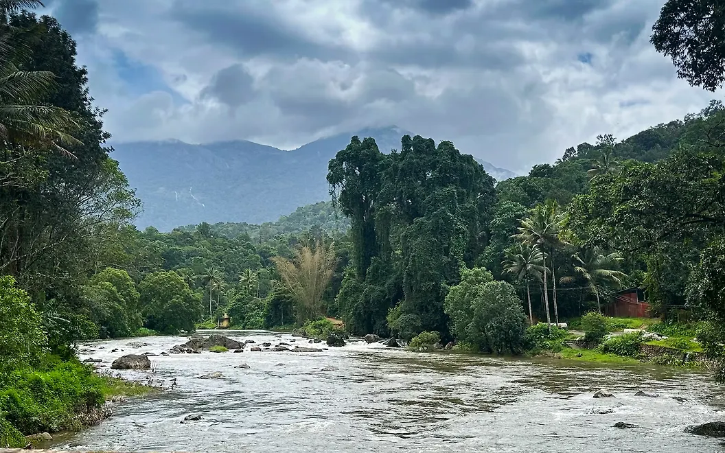 Honda Elevate Front View