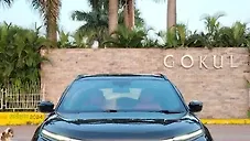 Used Tata Harrier Pure Plus (S) in Indore