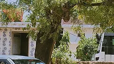 Used Maruti Suzuki Swift DZire LXI (O) in Alwar