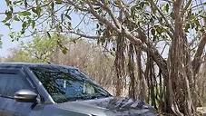 Used Tata Punch Camo Adventure MT in Jamnagar