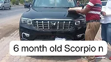 Used Mahindra Scorpio Z4 Diesel MT 4WD 7 STR [2022] in Meerut