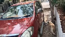 Used Toyota Innova 2.5 V 8 STR in Hyderabad