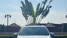Used Kia Carnival Prestige 7 STR in Surat