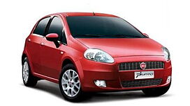 Fiat Punto [2011-2014] Name