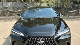 Used Lexus NX 350h Luxury [2022-2025] Cars