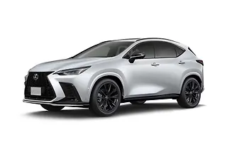 Lexus NX - White Nova Glass Flake