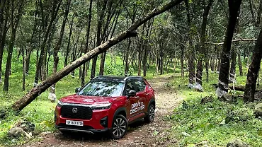 Drive to Discover 13: When the Roads Whisper Stories