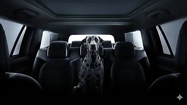 Jeep Meridian Track Edition Previewed Ahead of Launch