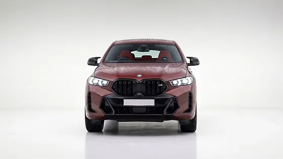BMW X6 closed door view