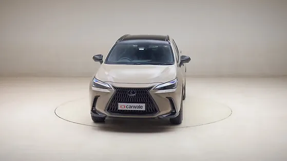 Lexus NX closed door view