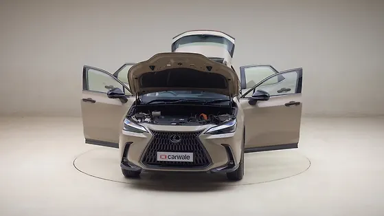 Lexus NX open door view
