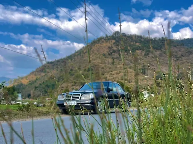 Used Mercedes-Benz E-Class [1998-2002] 250 D (W210) in Dehradun