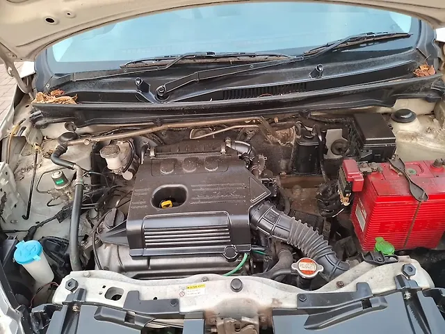 Used Maruti Suzuki Celerio [2014-2017] VXi AMT in Raipur