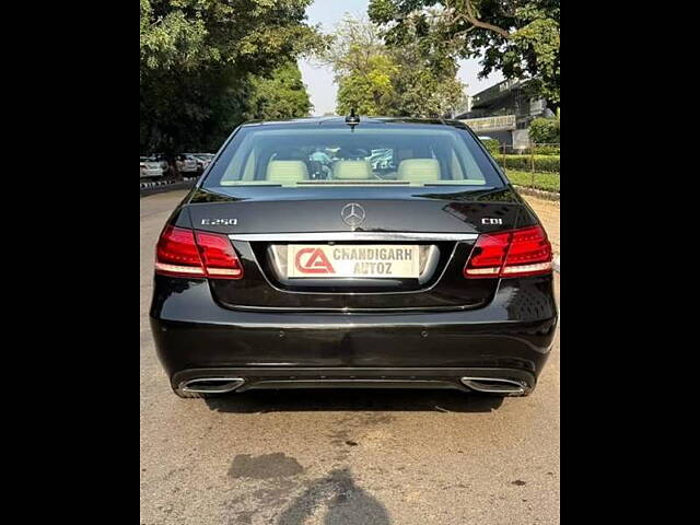 Used Mercedes-Benz E-Class [2015-2017] E 250 CDI Avantgarde in Chandigarh