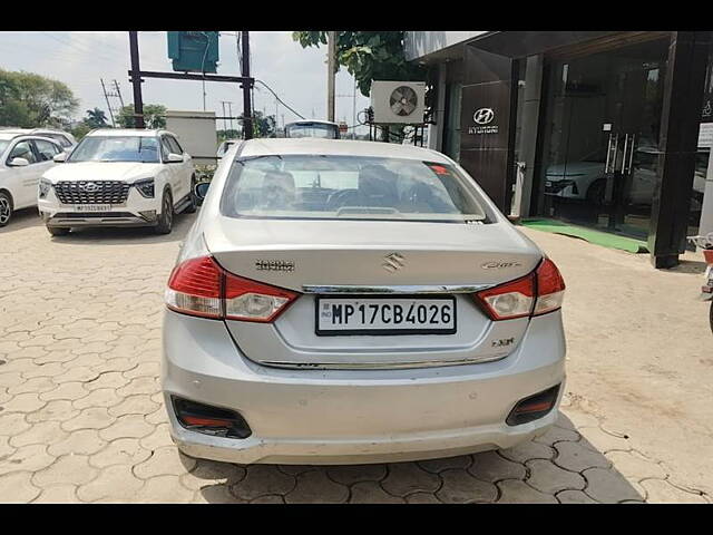 Used Maruti Suzuki Ciaz [2014-2017] ZXi in Satna