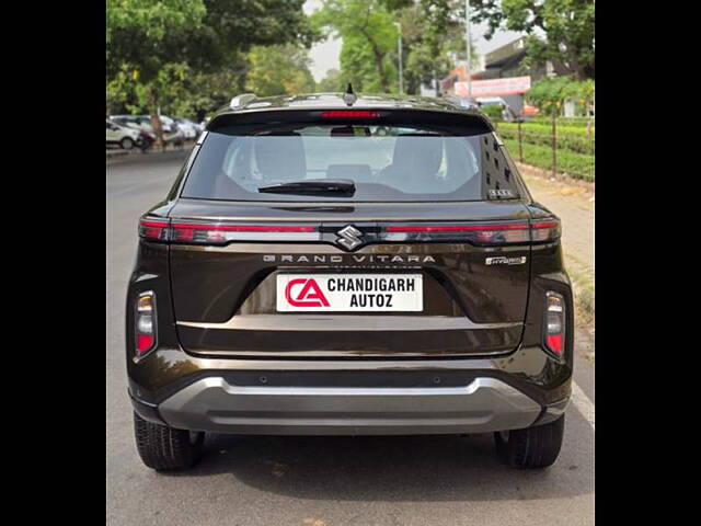 Used Maruti Suzuki Grand Vitara Alpha Plus Intelligent Hybrid eCVT in Chandigarh