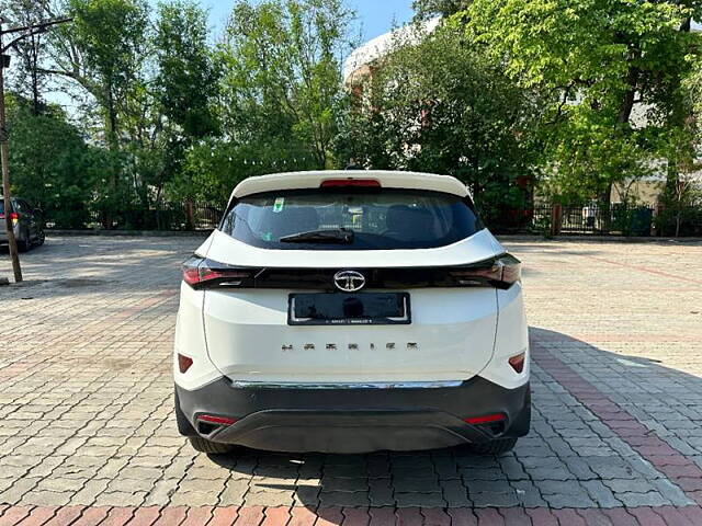 Used Tata Harrier [2019-2023] XZ Plus in Jalandhar