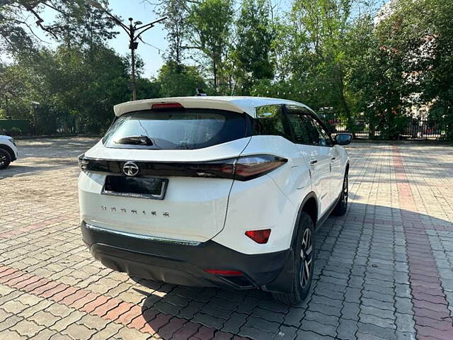 Used Tata Harrier [2019-2023] XZ Plus in Jalandhar