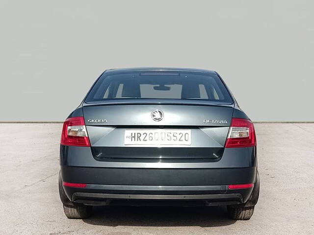 Used Skoda Octavia [2017-2021] 1.8 TSI Style Plus AT [2017] in Noida