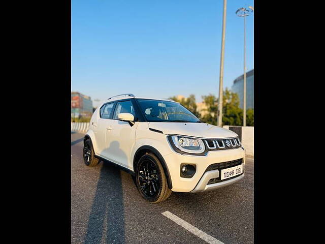 Used Maruti Suzuki Ignis Alpha 1.2 MT Dual Tone in Gurgaon