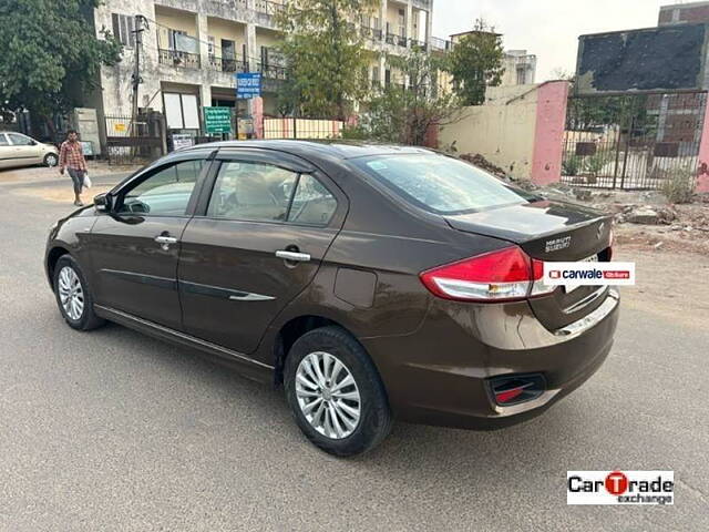 Used Maruti Suzuki Ciaz [2014-2017] ZDi SHVS in Jaipur