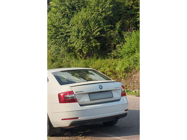 Used 2019 Skoda Octavia in Mandi