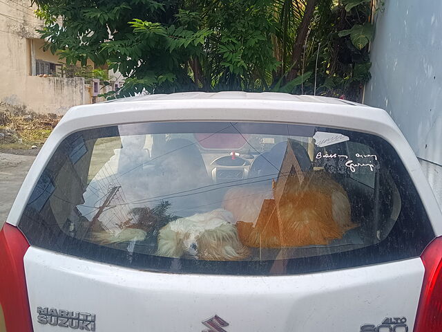 Used Maruti Suzuki Alto 800 [2012-2016] Lxi in Bhopal