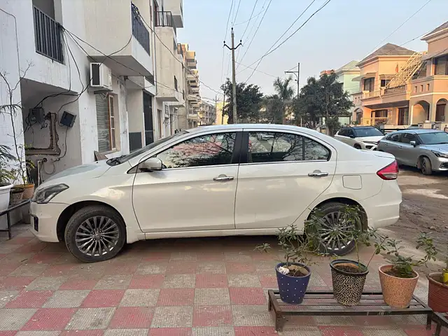 Used Maruti Suzuki Ciaz [2014-2017] ZXi in Mohali