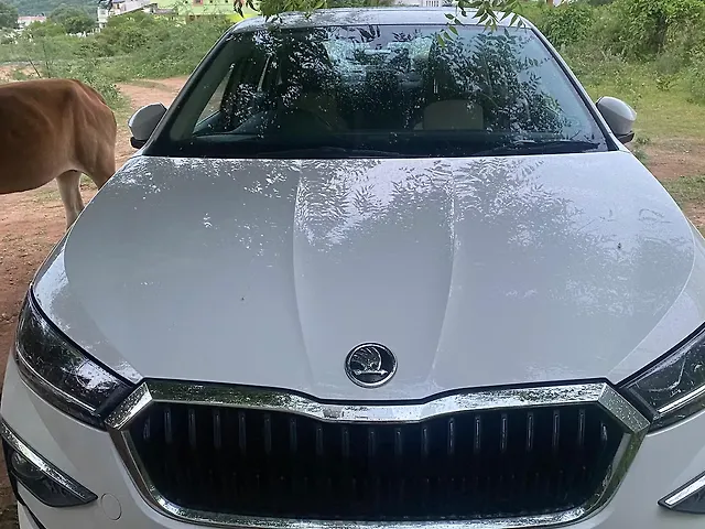 Used Skoda Slavia [2023-2024] Style 1.5L TSI DSG in Coimbatore