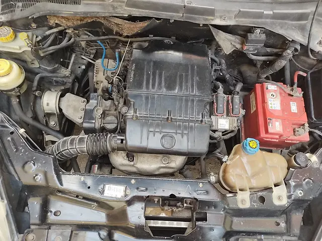 Used Fiat Punto [2009-2011] Active 1.2 in Jaipur