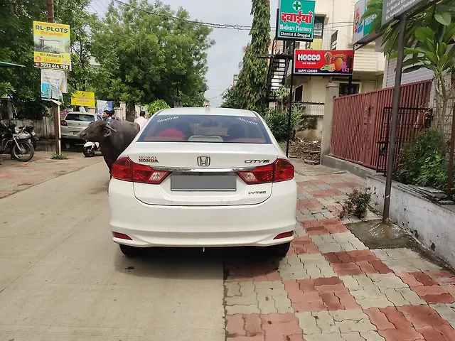 Used Honda City [2014-2017] VX in Nagpur