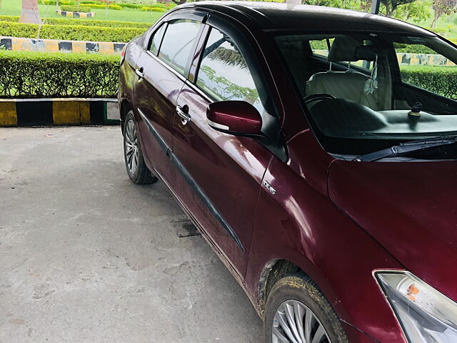 Used Maruti Suzuki Ciaz [2014-2017] ZDi SHVS in Singrauli