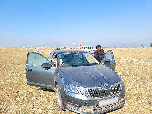 Used Skoda Octavia [2017-2021] 2.0 TDI CR Style AT in Agra