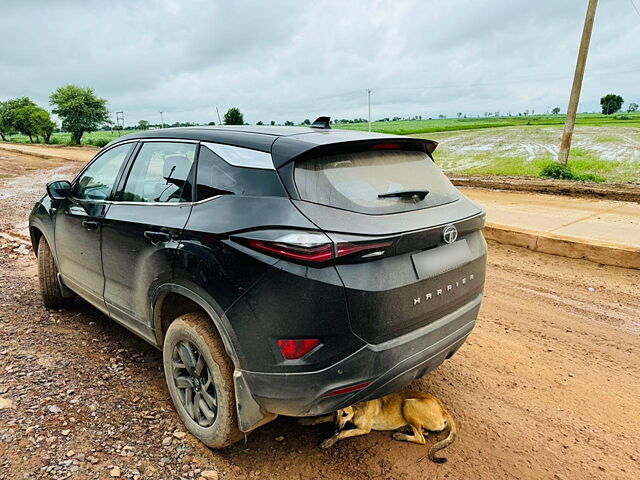 Used Tata Harrier [2019-2023] XZ Plus Dark Edition in Gurgaon