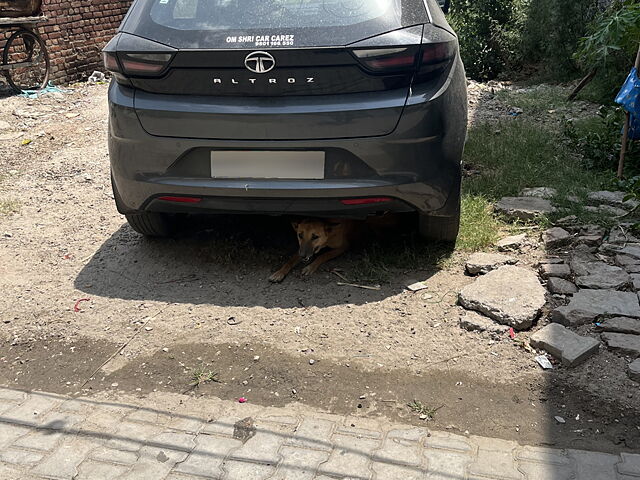 Used Tata Altroz XE Plus Petrol [2021-2023] in Jalandhar