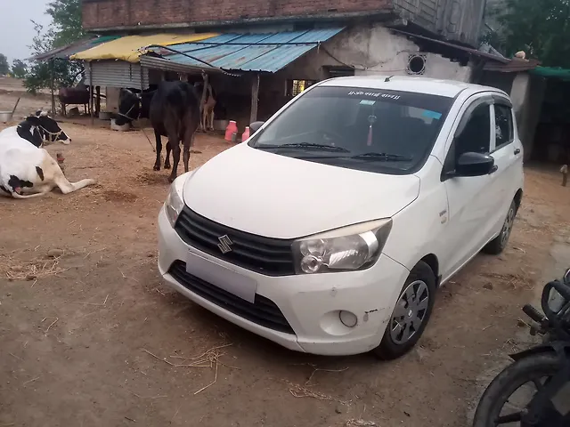 Used 2016 Maruti Suzuki Celerio in Nagpur