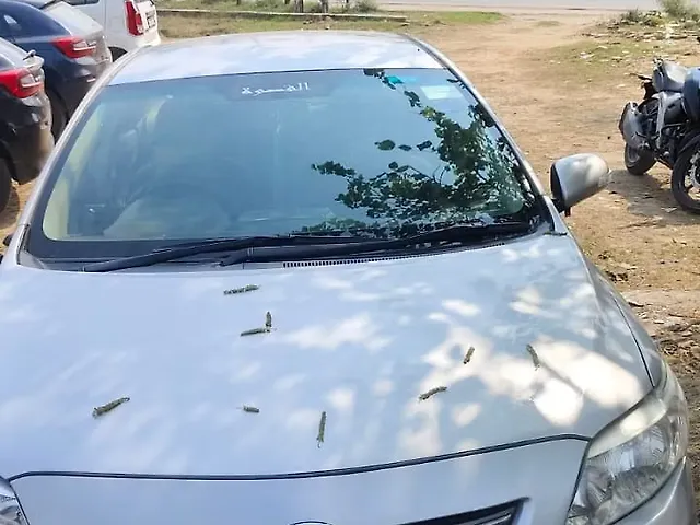 Used 2010 Toyota Corolla Altis in Bijnor