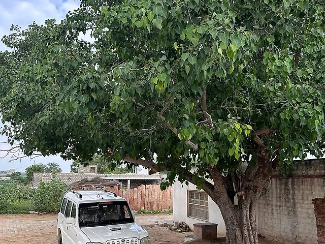 Used 2007 Mahindra Scorpio in Vadodara