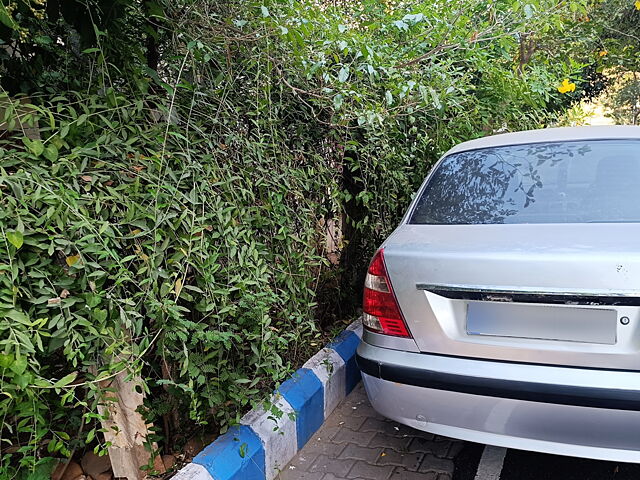 Used Tata Indigo [2005-2009] LX TDI BS-III in Tirupati