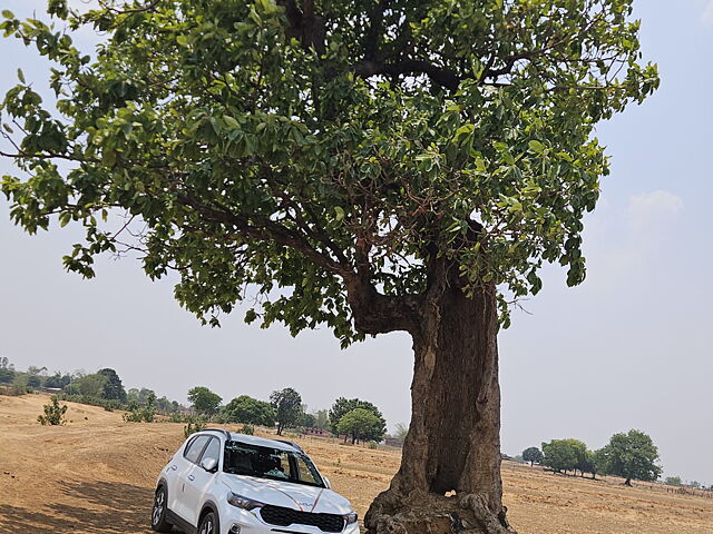 Used Kia Sonet [2020-2022] HTK Plus 1.2 [2020-2021] in Sidhi