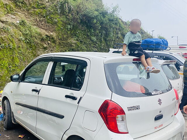 Used Maruti Suzuki Celerio [2014-2017] LXi in Jammu