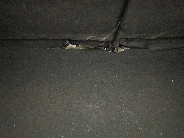 Used Maruti Suzuki Celerio ZXi AMT [2023-2025] in Kochi
