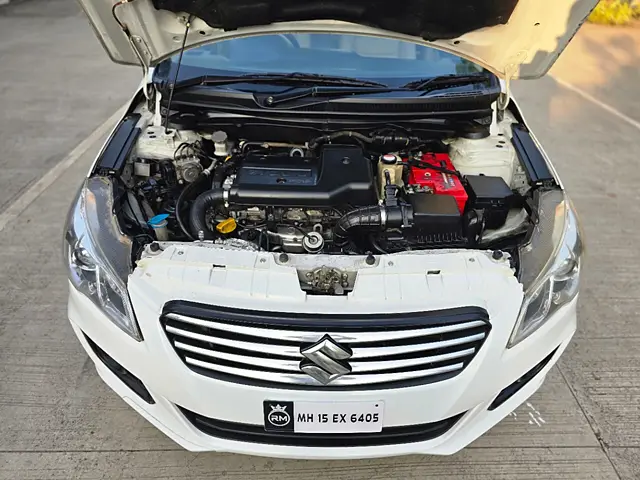 Used Maruti Suzuki Ciaz [2014-2017] ZDi+ SHVS in Nashik