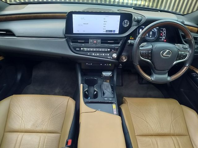 Used Lexus ES 300h Luxury in Bangalore