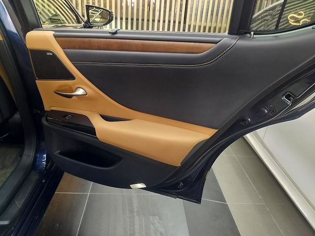 Used Lexus ES 300h Luxury in Bangalore